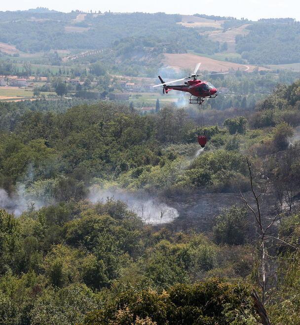 Ancora fiamme a Fauglia, i carabinieri cercano il piromane 