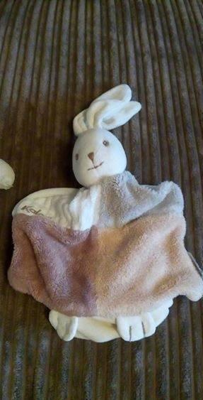 Rubati i pupazzi di un bambino malato di tumore 
