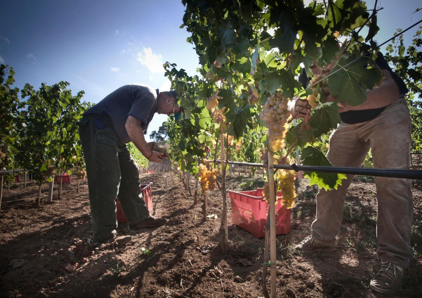 La tecnologia salva la stagione 