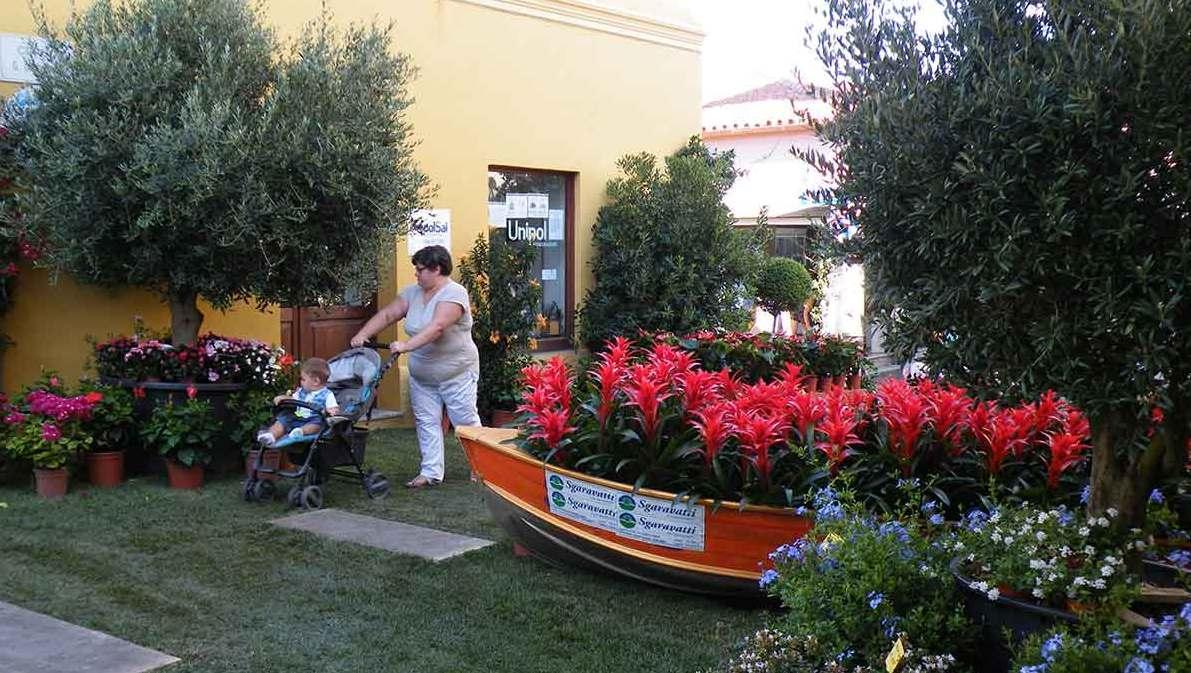 Arzachena in fiore per un week-end