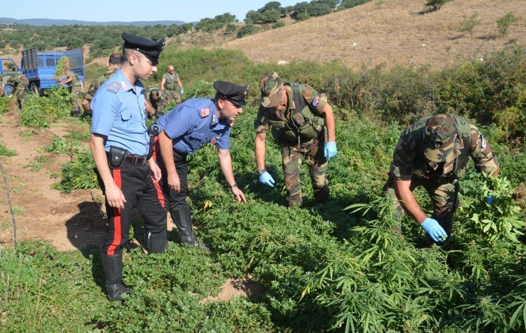 I due “coltivatori” non rispondono al giudice 
