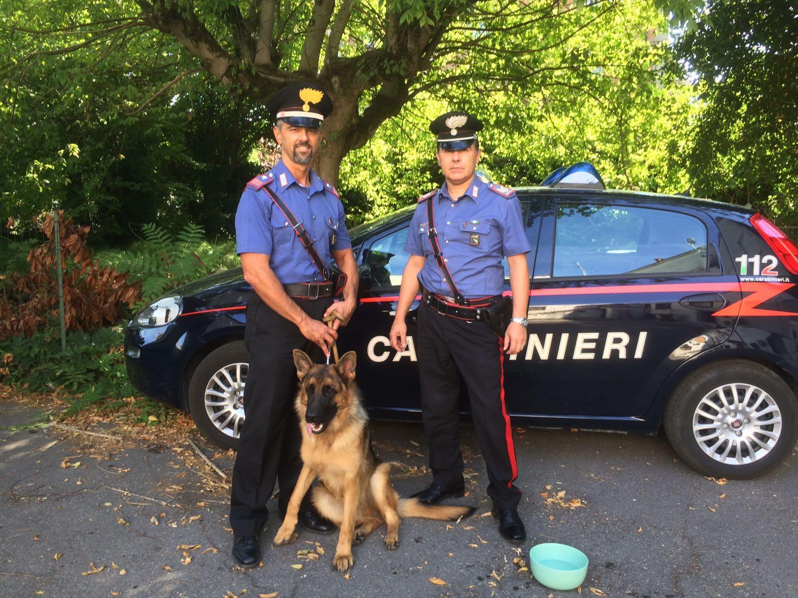 I carabinieri di Casumaro e il cane salvato