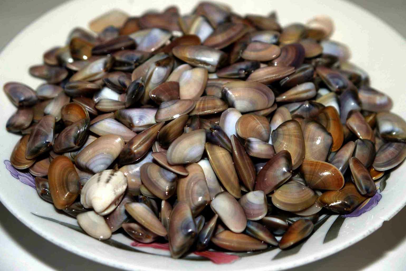 Sorpreso con 90 kg di telline, multato pescatore di frodo