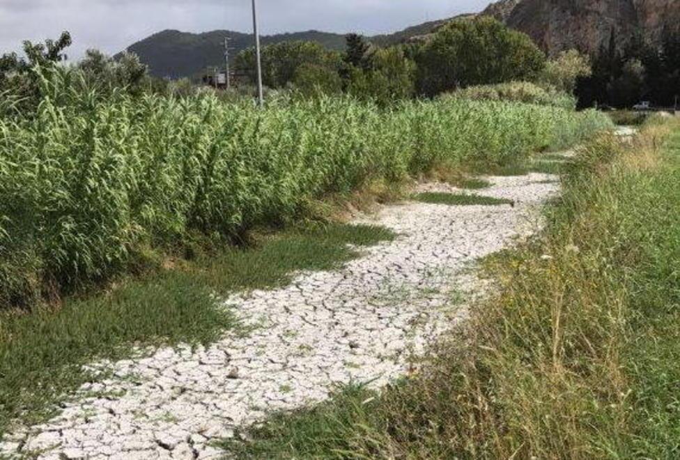Massaciuccoli in secca stop dalla Regione ai prelievi di acqua 