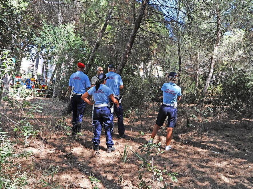 Controlli a vuoto nella pineta nell’area indicata da Gasperini 