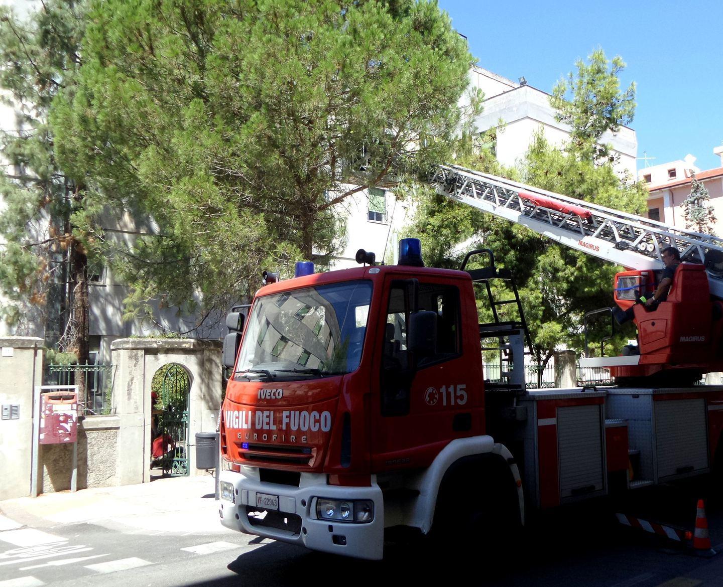 Sassari, ramo pericolante davanti al Policlinico: intervengono i vigili del fuoco