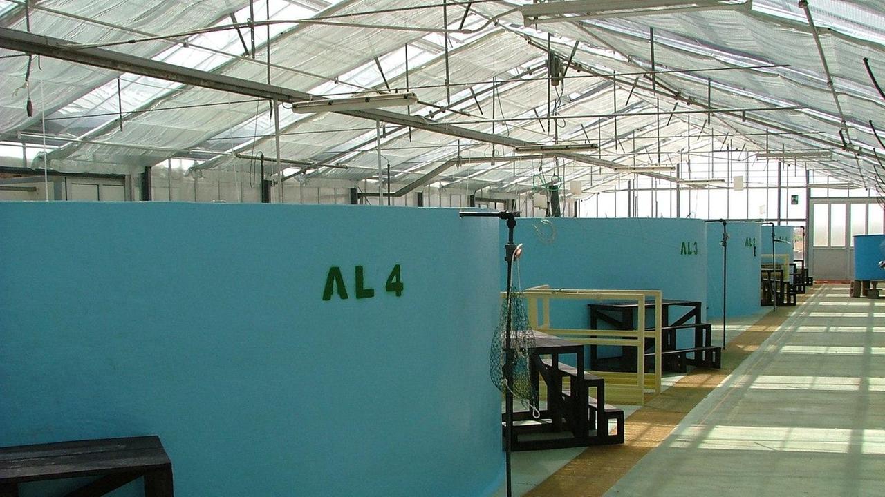 L’avannotteria resta ancora chiusa