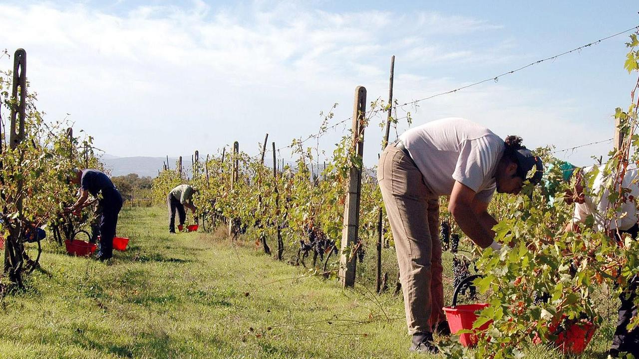 Giovani e start-up, a Tortolì arrivano oltre 500mila euro