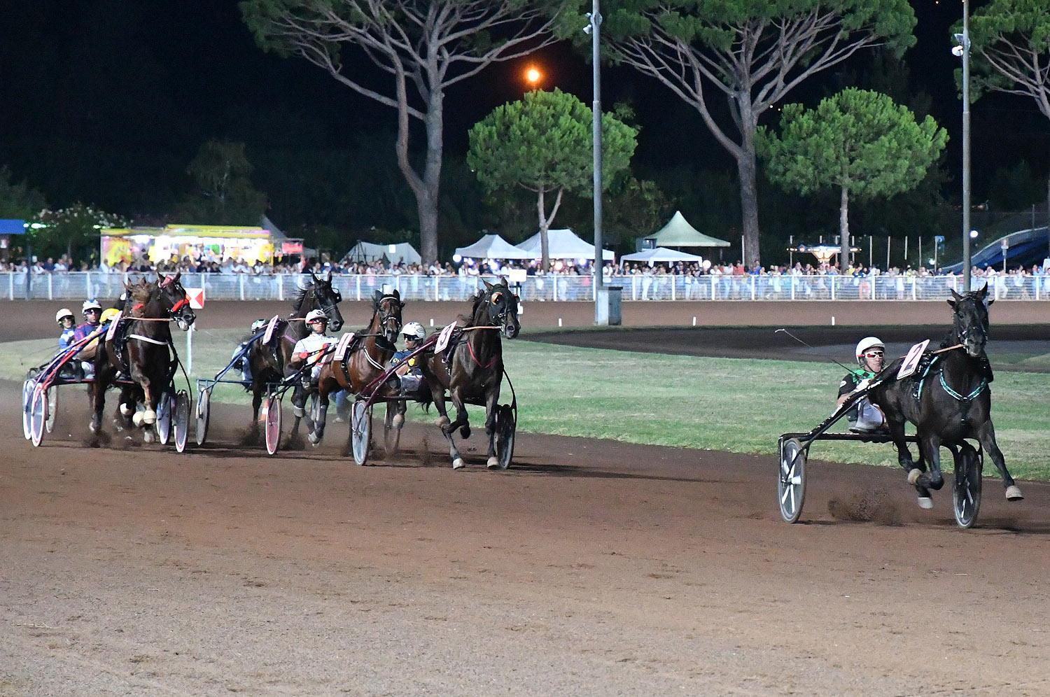 Cavalli in corsa nel Gp di Ferragosto: sabato 26 agosto con il Nello Bellei ultimo gran premio in notturna della stagione (Foto Rosellini)