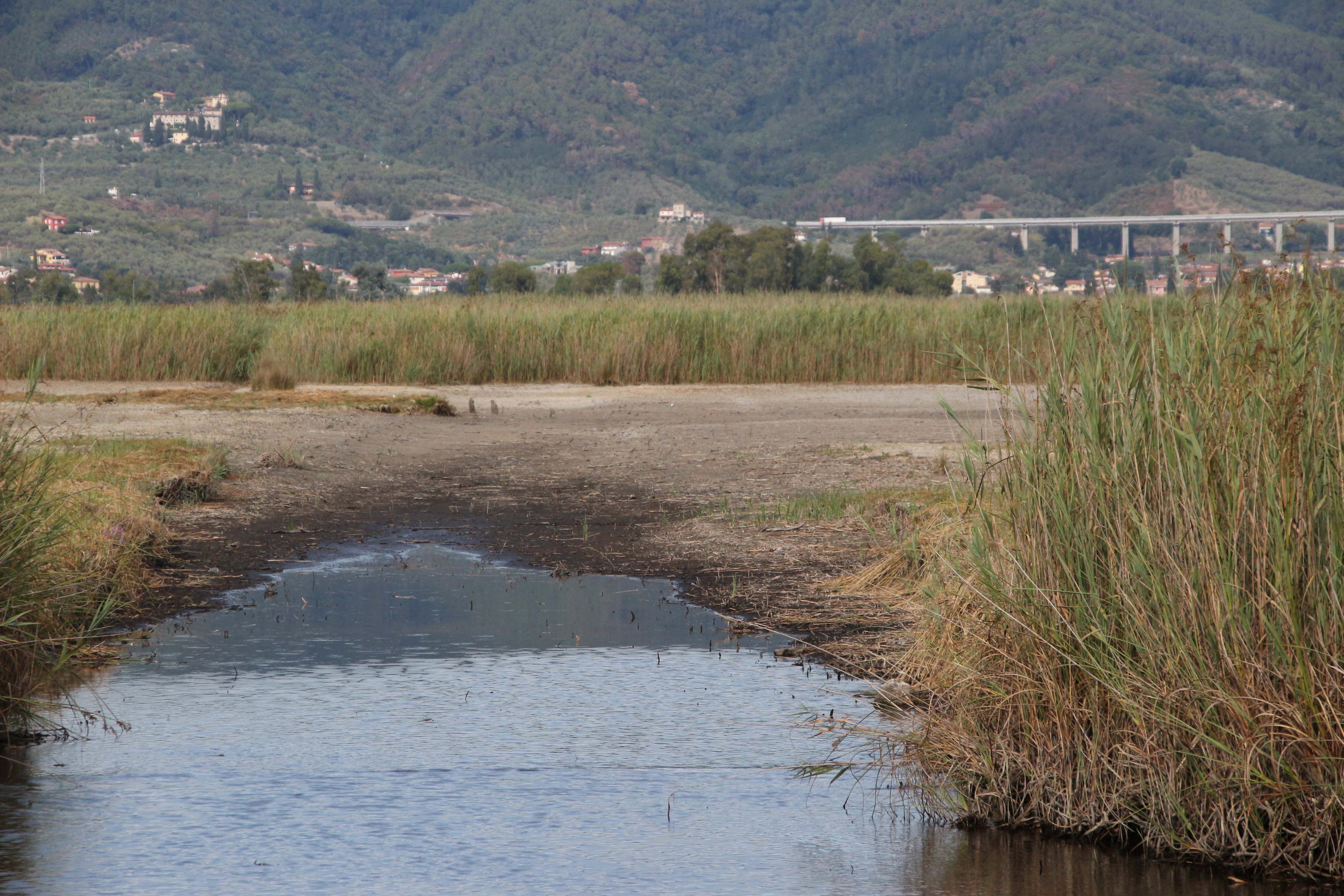 La spiaggia che si è creata nel lago (foto Ciurca)