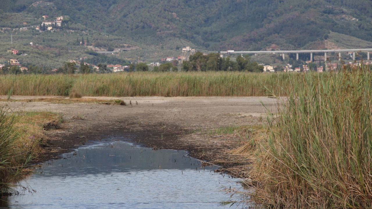 La spiaggia che si è creata nel lago (foto Ciurca)