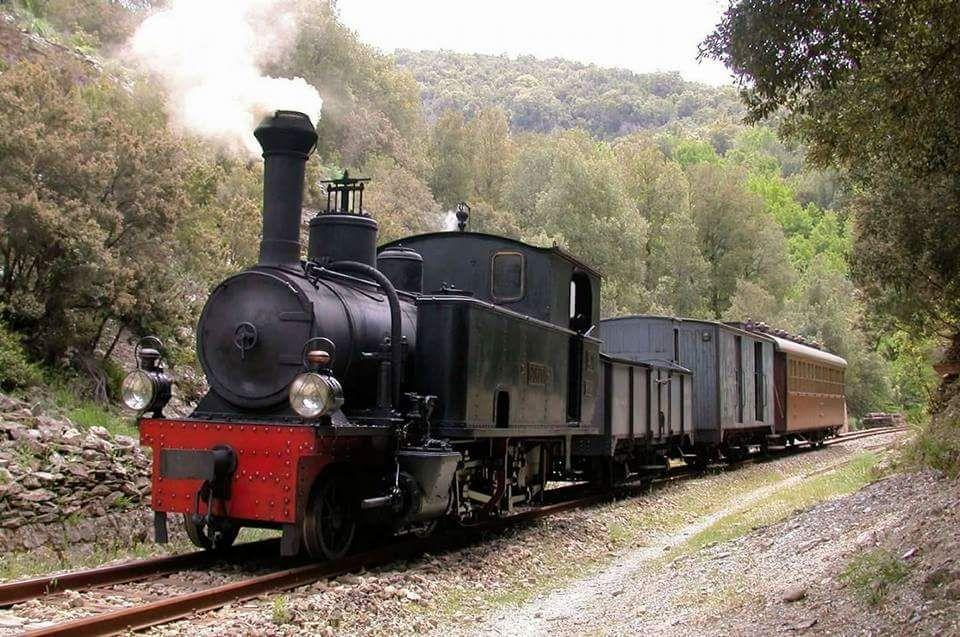 Trenino verde, protesta contro la sospensione della Laconi-Sorgono