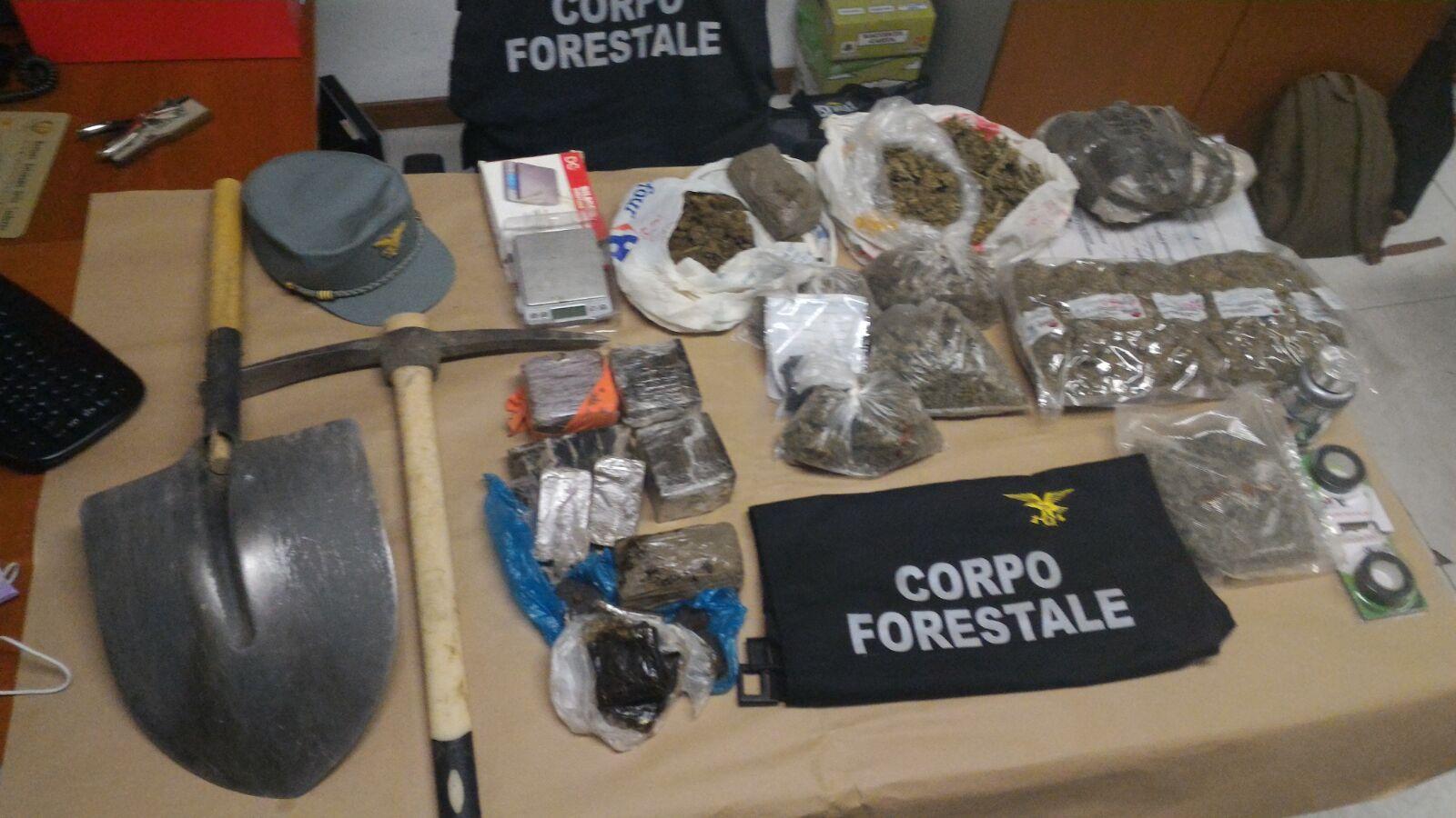 Cercano incendiari e trovano un trafficante di droga