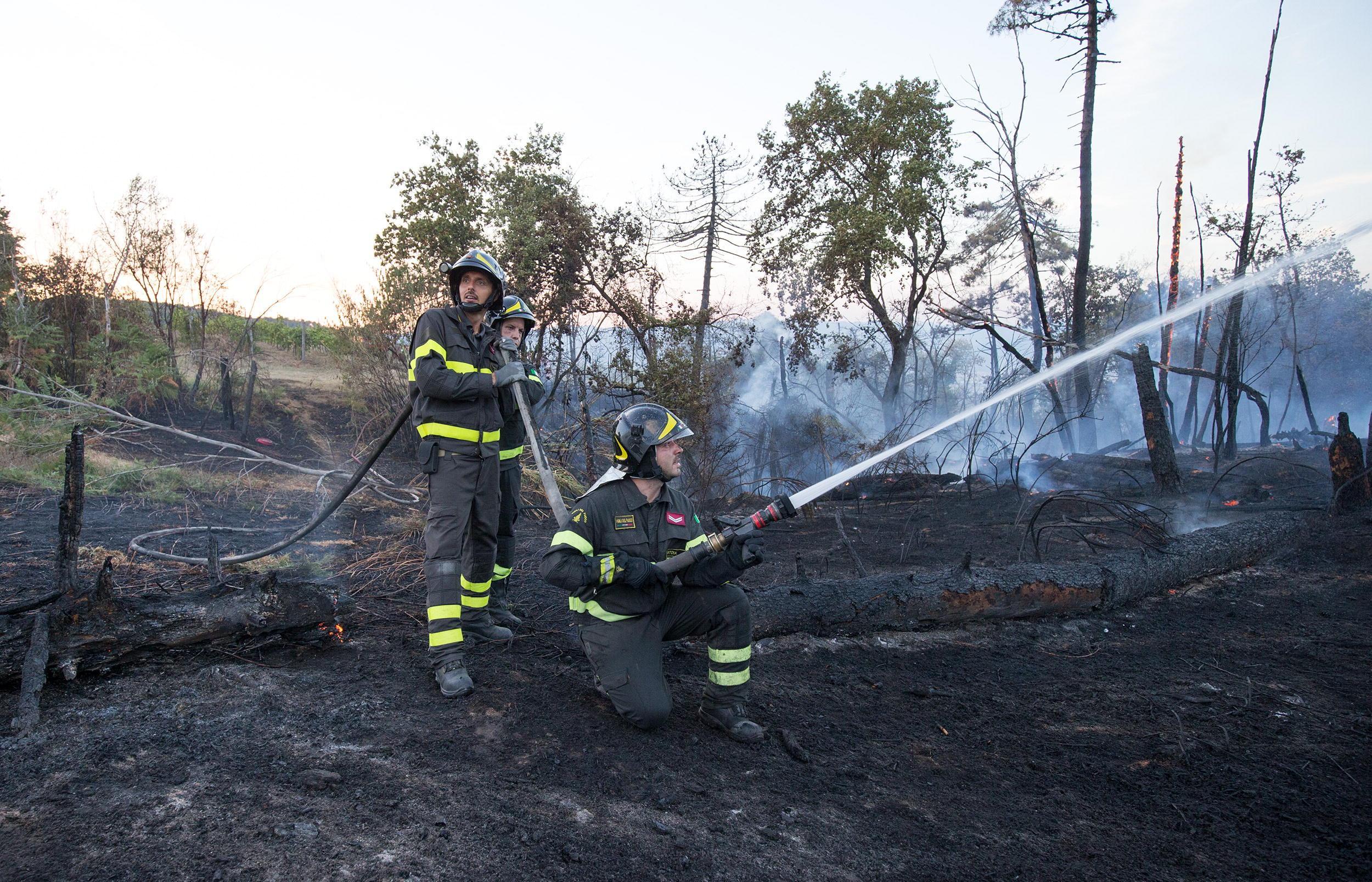 Vigili del fuoco impegnati in operazioni di spegnimento e bonifica nei boschi di Casalvento (Foto Nucci)