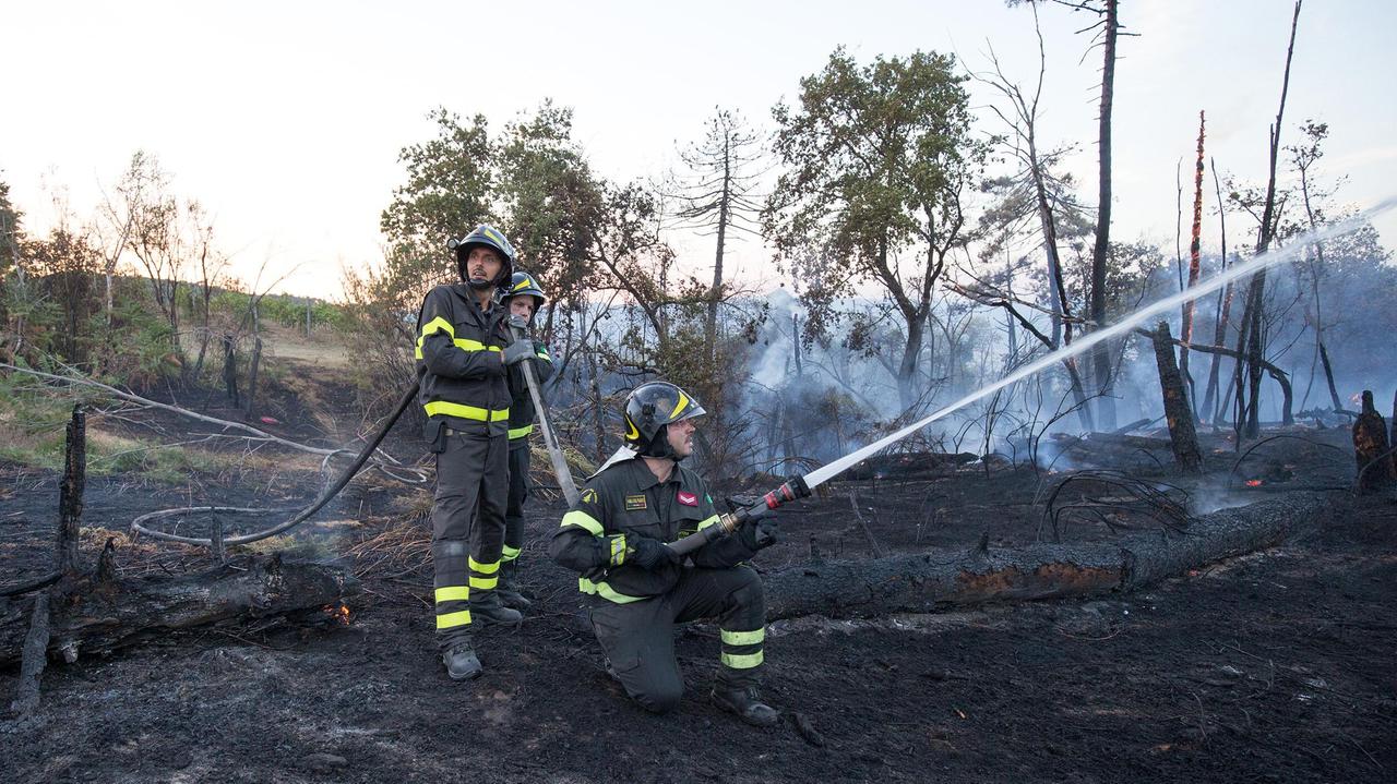 Vigili del fuoco impegnati in operazioni di spegnimento e bonifica nei boschi di Casalvento (Foto Nucci)