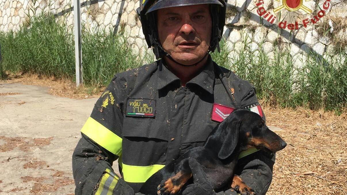 Il vigile del fuoco protagonista del salvataggio col cane in braccio (foto Mario Rosas)