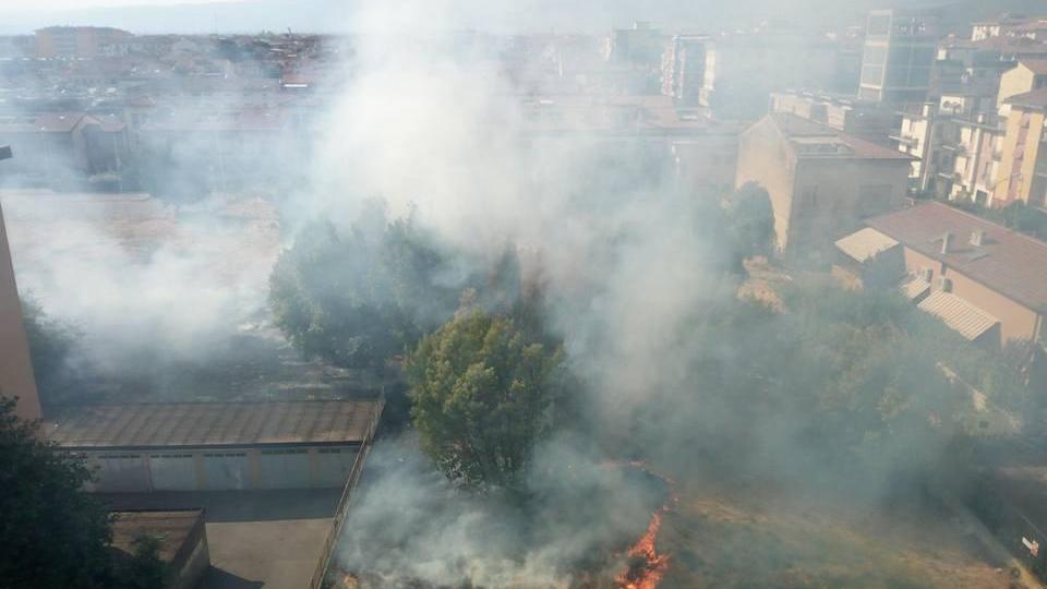 L'incendio nel campo adiacente a via Fiorello Bini (foto Paola Piraino)