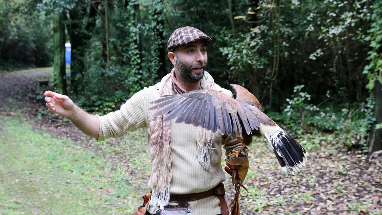 Fabio Bonciolini con i suoi rapaci alla Torretta (Foto Nucci)