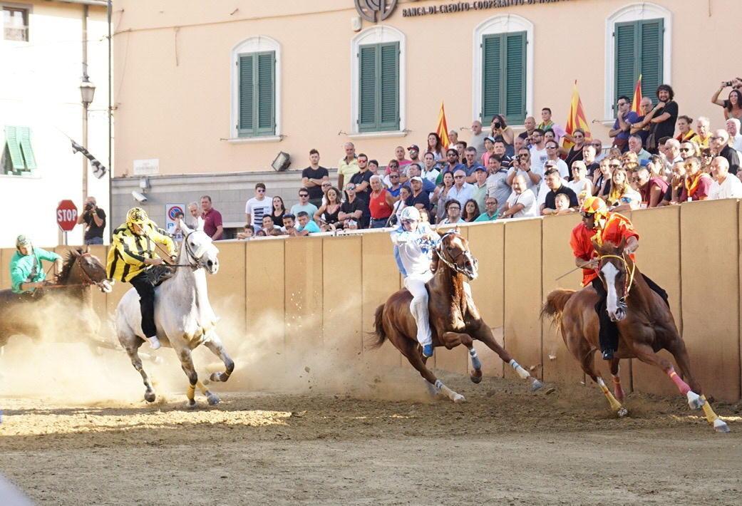 Cavalli in gara a Bientina (Foto Silvi)