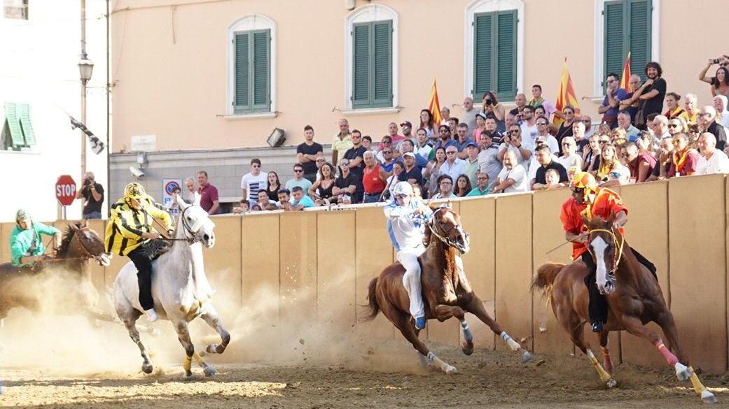 Cavalli in gara a Bientina (Foto Silvi)