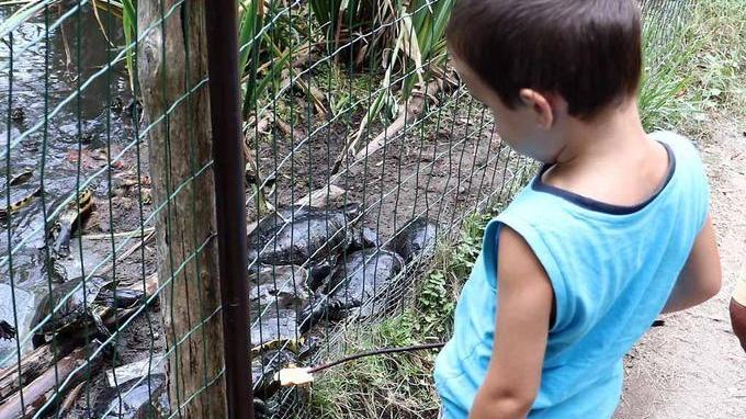 Sos per l’Oasi Wwf dei Ronchi: «Non vado più avanti»