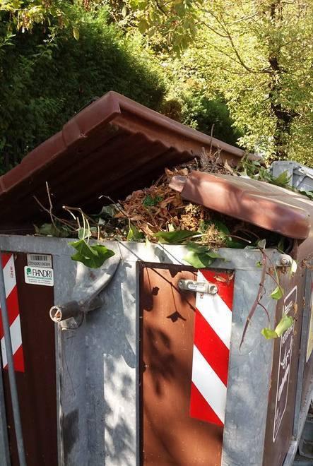 «Pattumi dell’umido pieni»