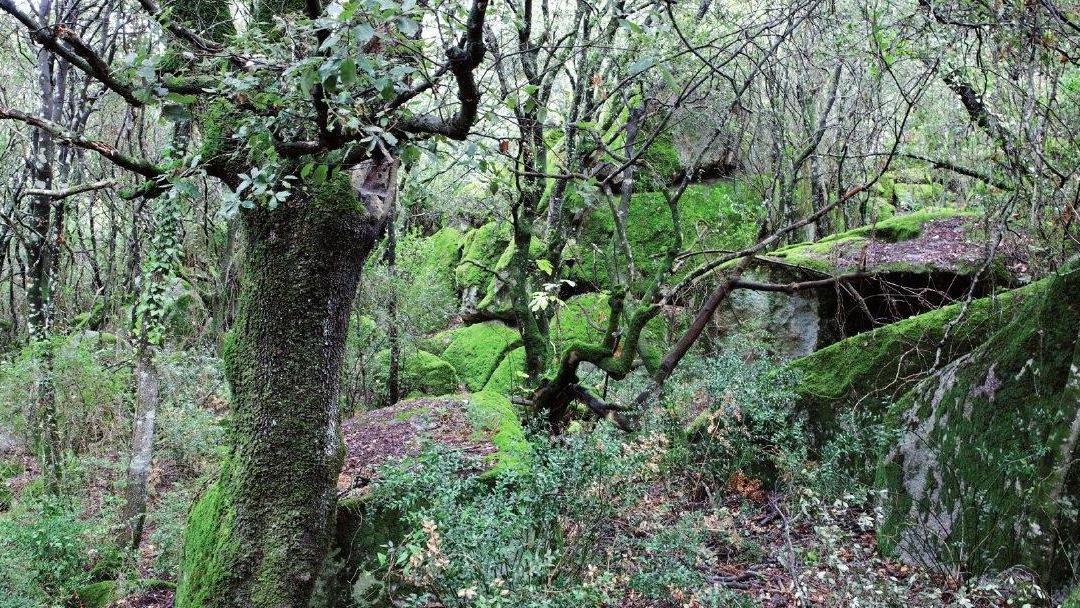 Sarà un pool di naturalisti a tutelare l’Ortobene
