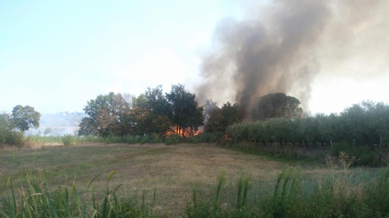 Uno degli incendi nella zona di Santallemura (da fb Fausto Balli)