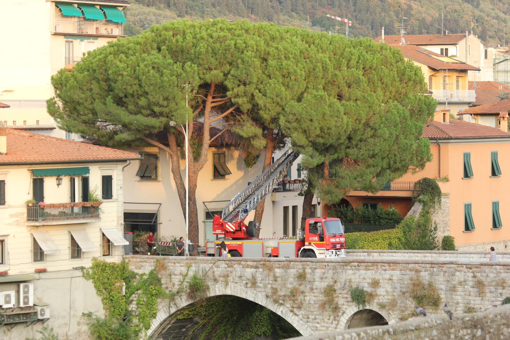 L'intervento dei vigili del fuoco accanto al Ponte Mercatale (foto Batavia)