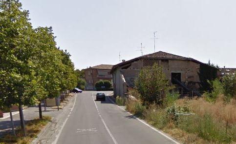 «Gattile fuori controllo, ignorati i nostri appelli» 