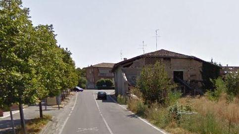 «Gattile fuori controllo, ignorati i nostri appelli»