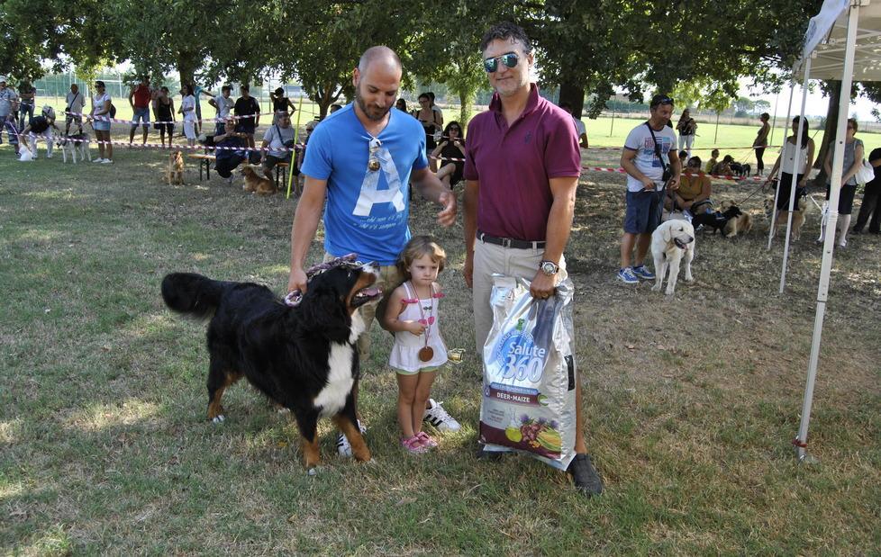 Successo per i cani in passerella 