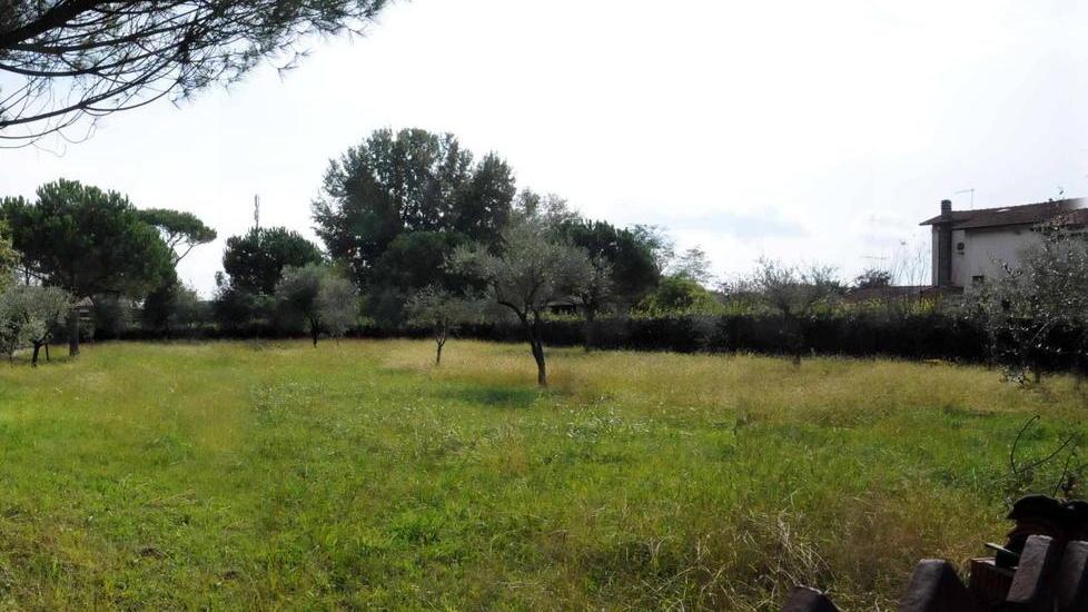 “Capanni” irregolari arrivano le sanzioni