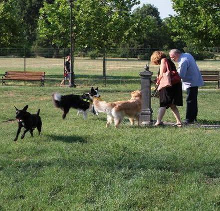 Parco Vistarino: bufera per i cani lasciati liberi