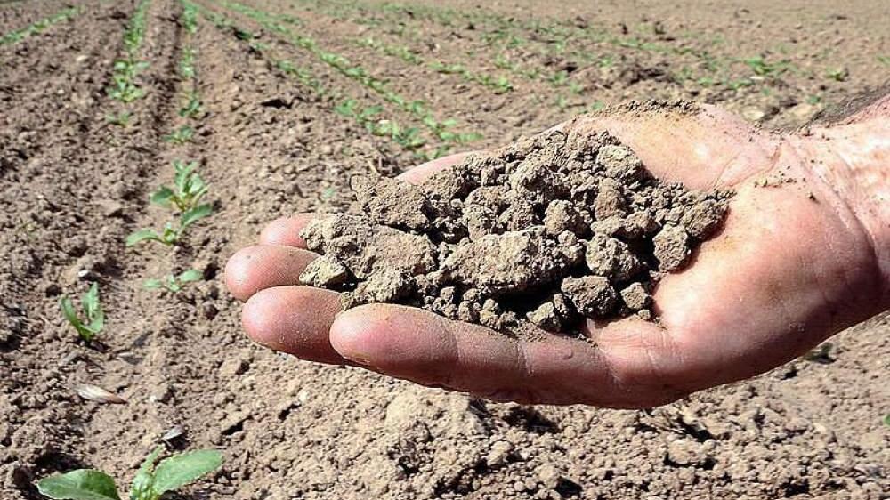Il caldo ha devastato l'agricoltura: danni per 300 milioni