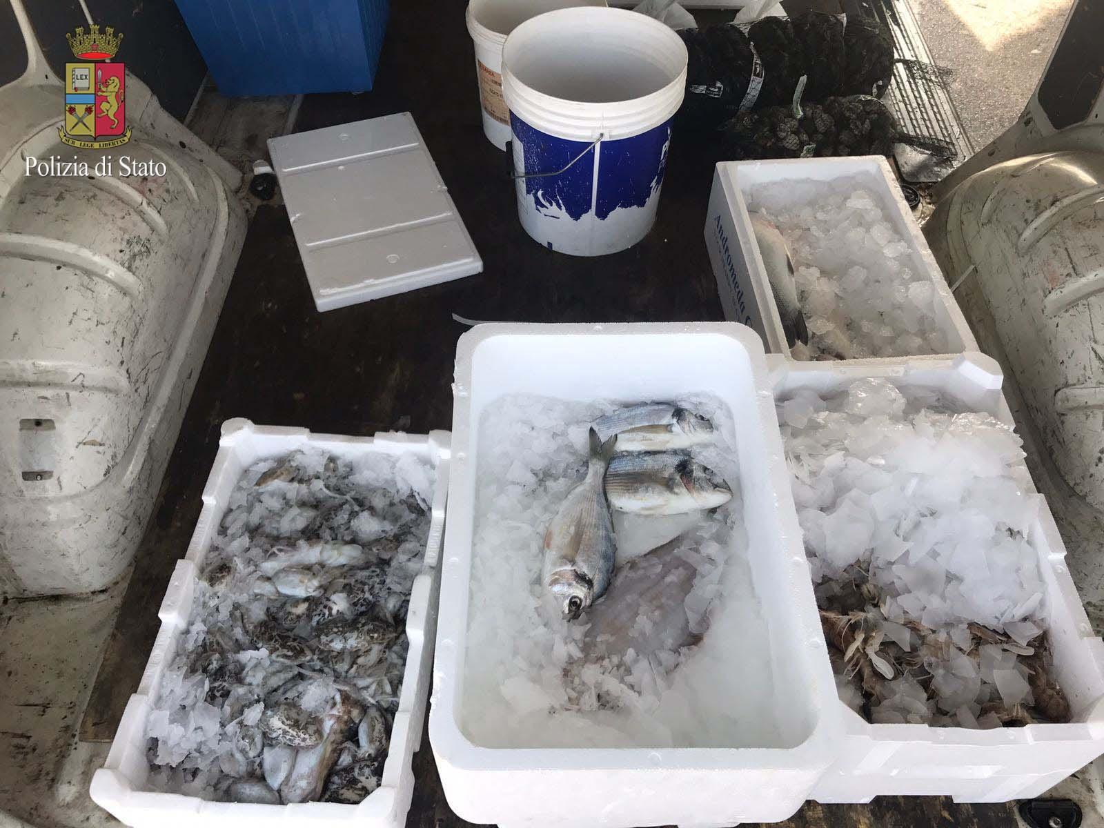 Il pesce sequestrato dalla Polizia stradale
