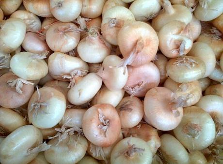 Tre giorni di Borettana per piangere... di gusto 