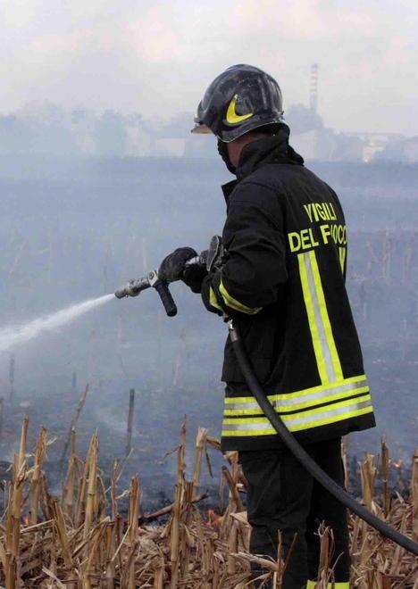 Vasto rogo di sterpaglie nella golena del Po