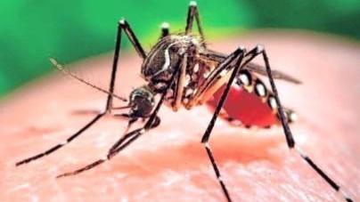 Confermato il caso di Zika virus