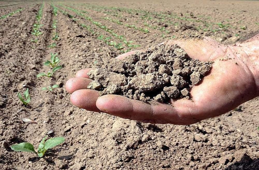 Siccità in Toscana, non basta questa pioggia: ecco dove sono le zone più critiche