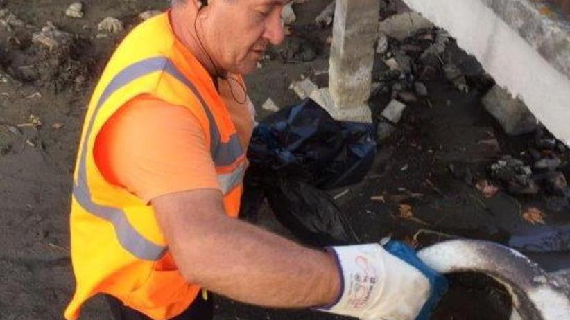 Nel Massaciuccoli un water, gomme, bici