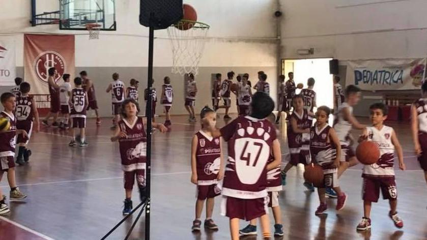 Un martedì da Leoni, al PalaCosmelli arriva l’open day
