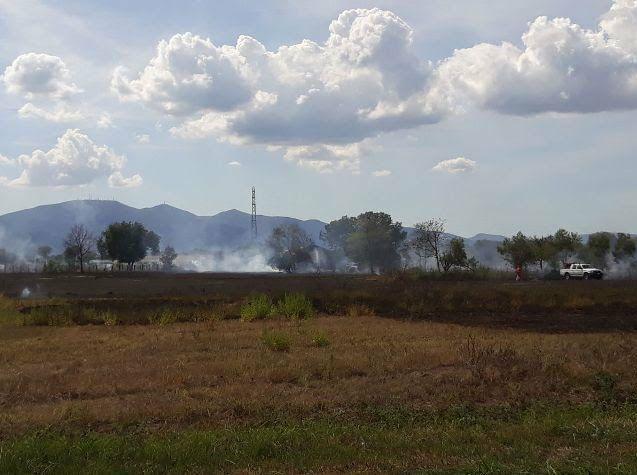 Rogo minaccia cavalli in una stalla 