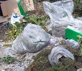 Buste di plastica dappertutto «Una legge le vieta dal 2010» 