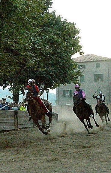 Palio, bimbi ammessi ma scattano divieti 