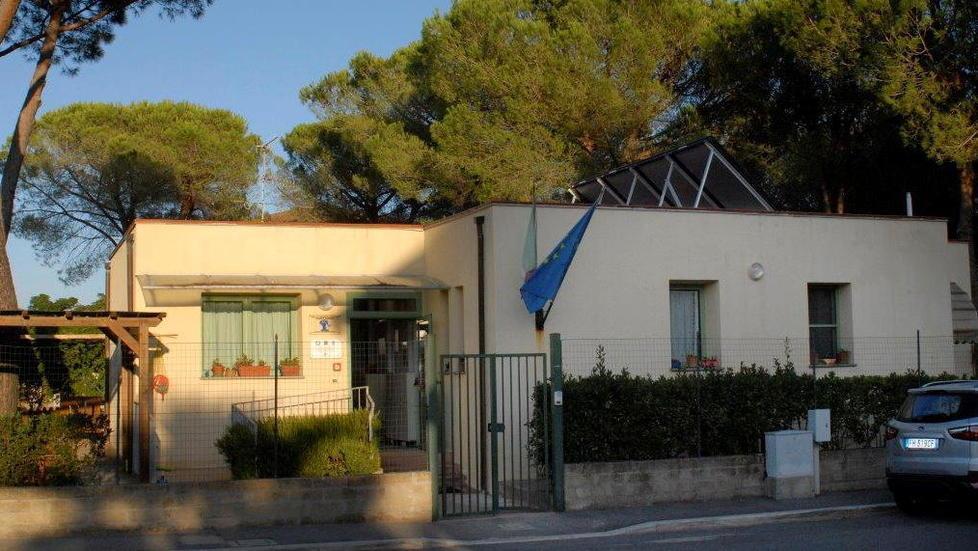 All’asilo con 75 euro al mese A Scarlino le tariffe più basse 