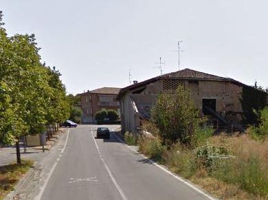 Colonie feline, coordinamento tra volontari per unire le forze