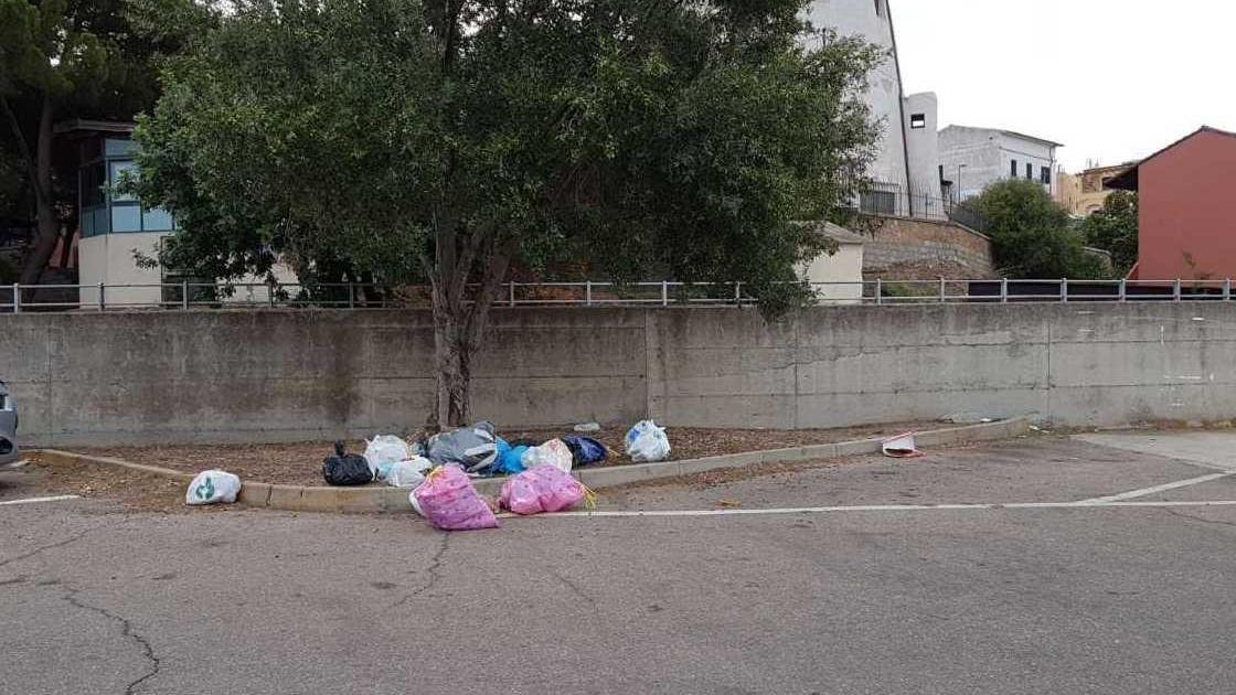 Rifiuti abbandonati nella darsena