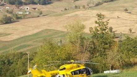 Teme per la puntura di vespa ma è vittima di un infarto