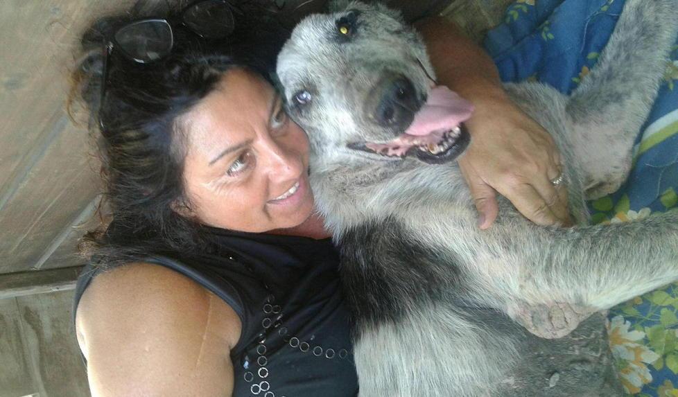 E' tornato a casa il cane Boris: «Io e lui inseparabili, finalmente è con me» 